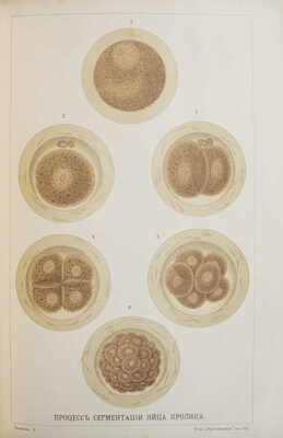 Ранке И. Человек. 3-е изд. В 2 т. Т. 1-2. СПб.: Т-во «Просвещение», 1903.